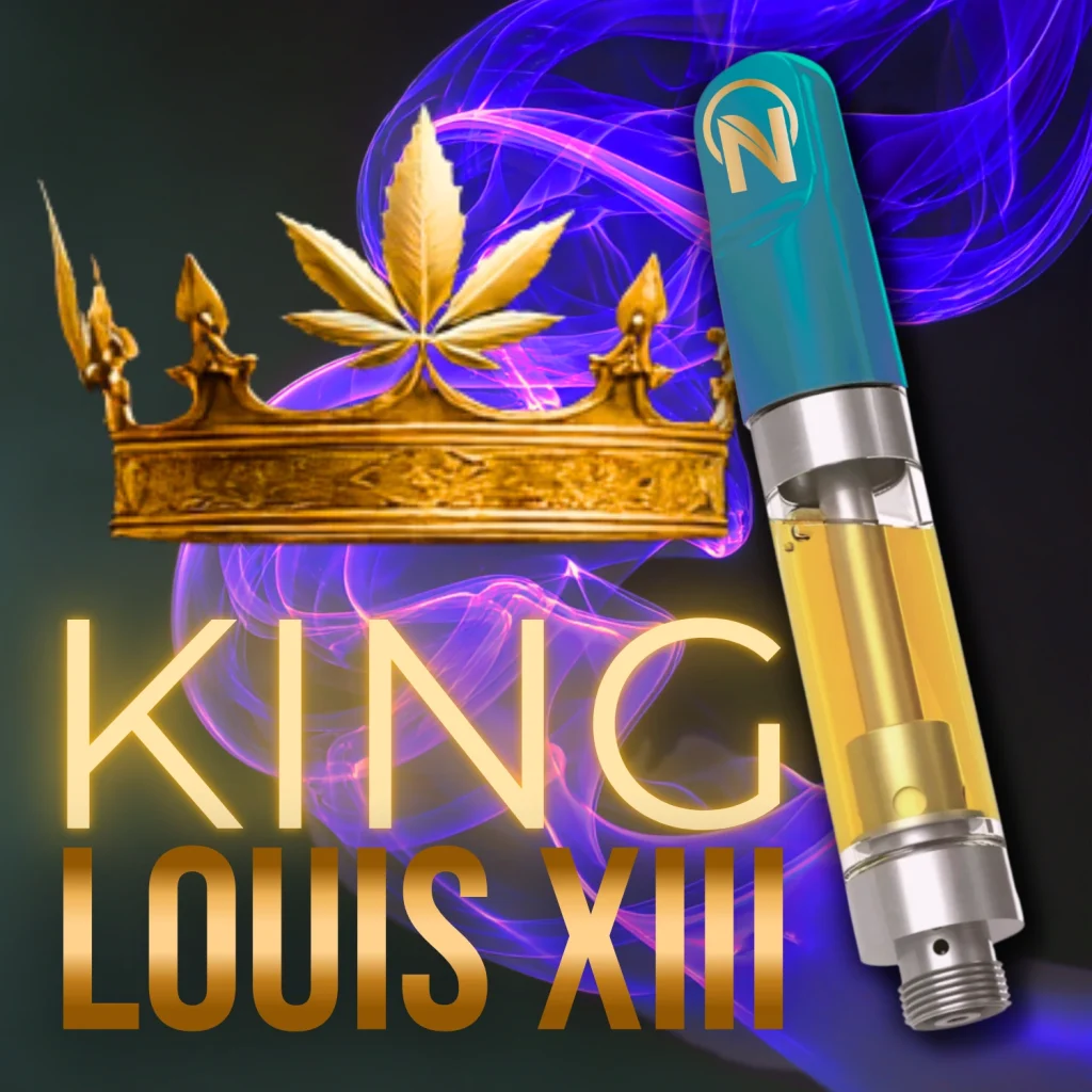 King Louis XIII