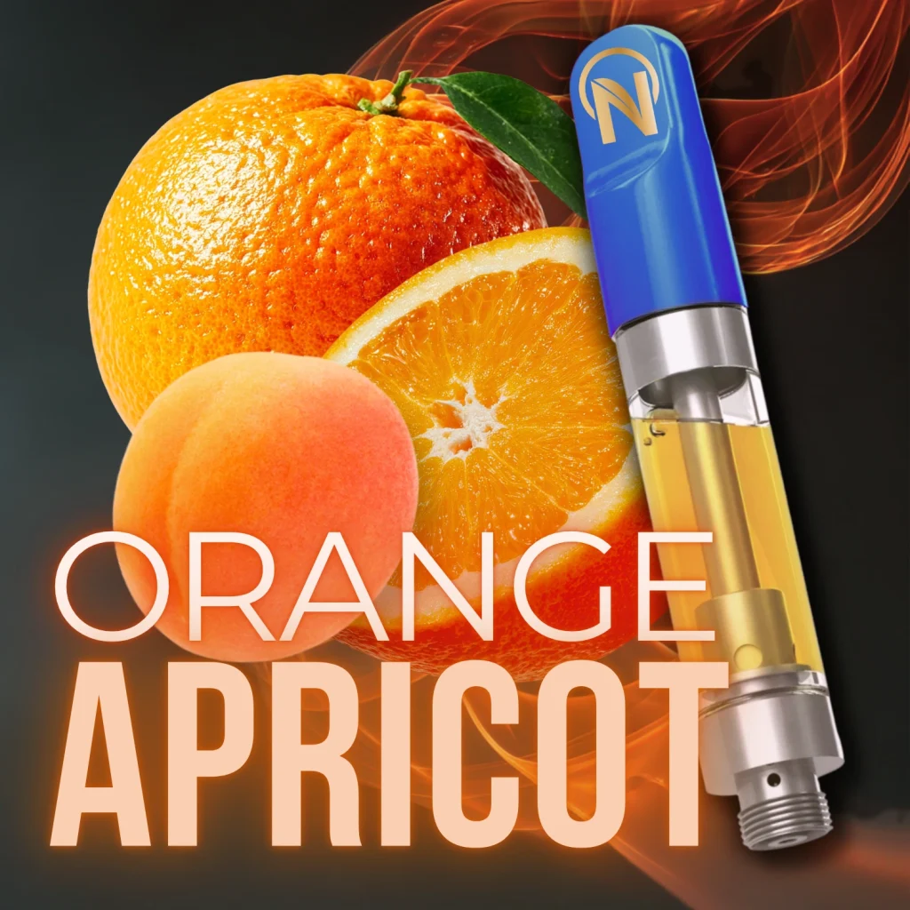 Orange Apricot
